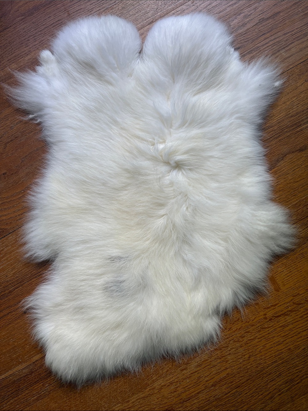 A213 rabbit pelt crafts decor